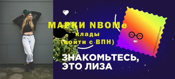 мдпв Бородино
