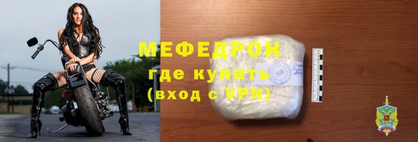 мдпв Бородино