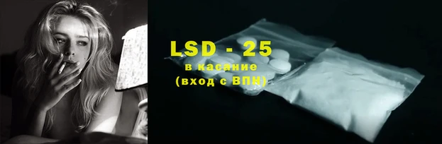 мдпв Бородино