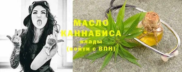 мдпв Бородино