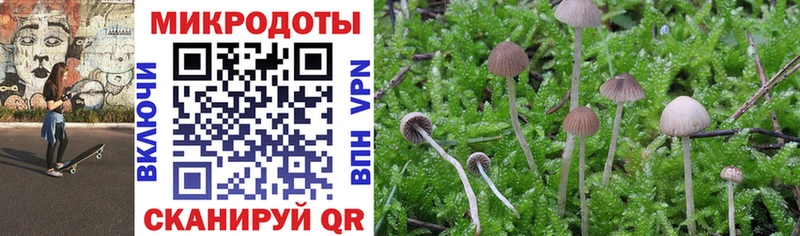 Купить Николаевск Галлюциногенные грибы мицелий